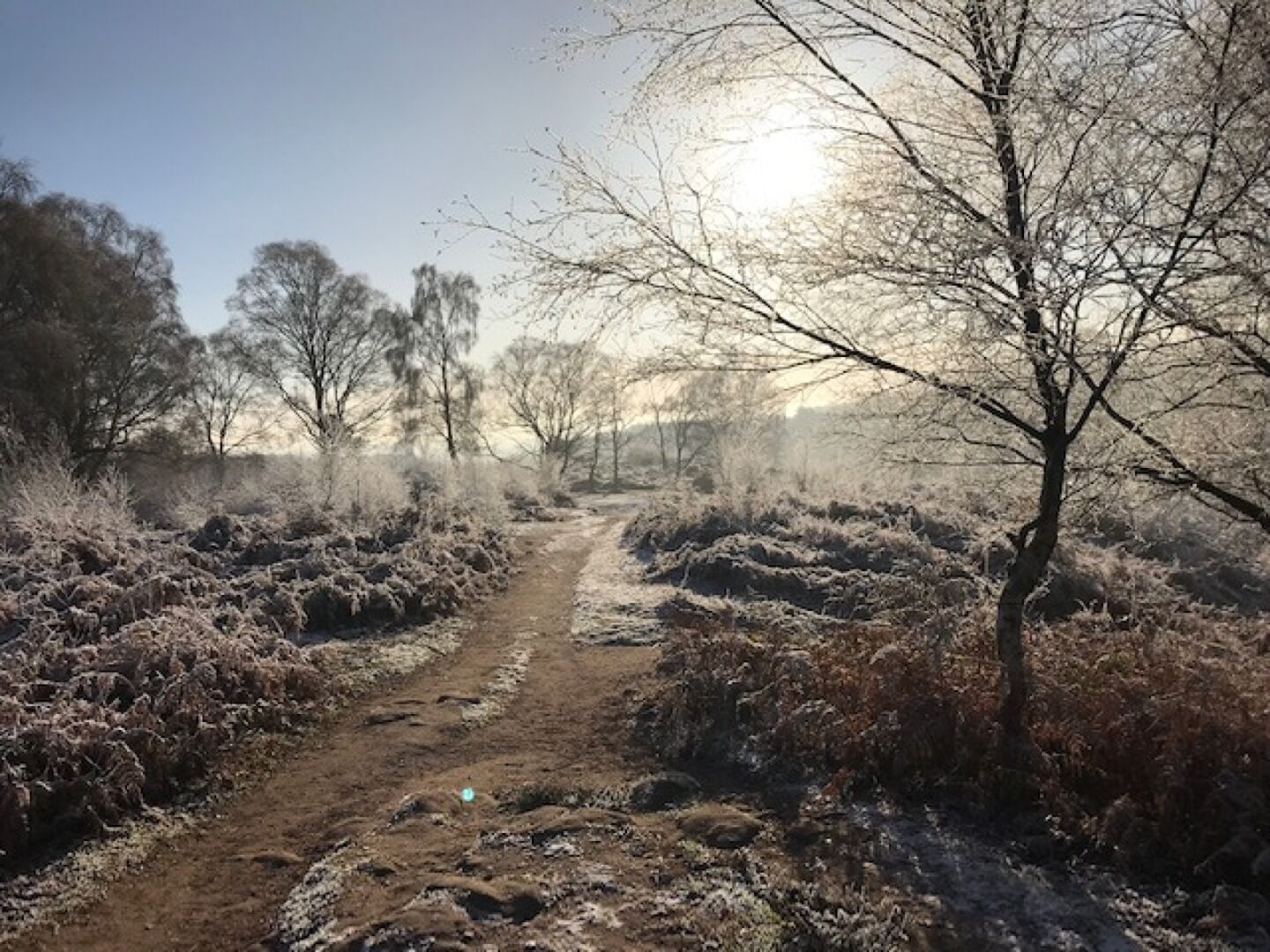 Sandstone Ridge Trust | Weather Alerts on the Ridge