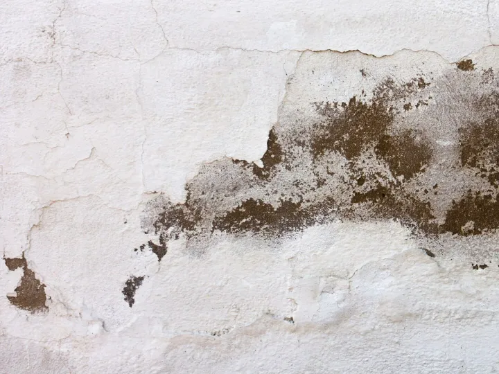 Damaged white wall texture