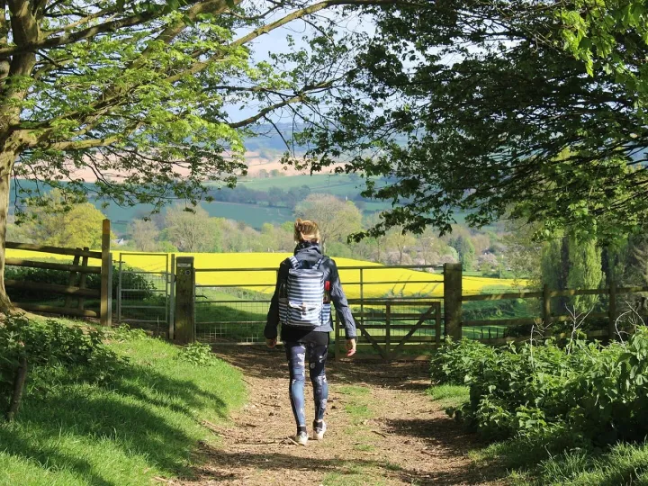 Spring, cotswolds, footpath, nature, england