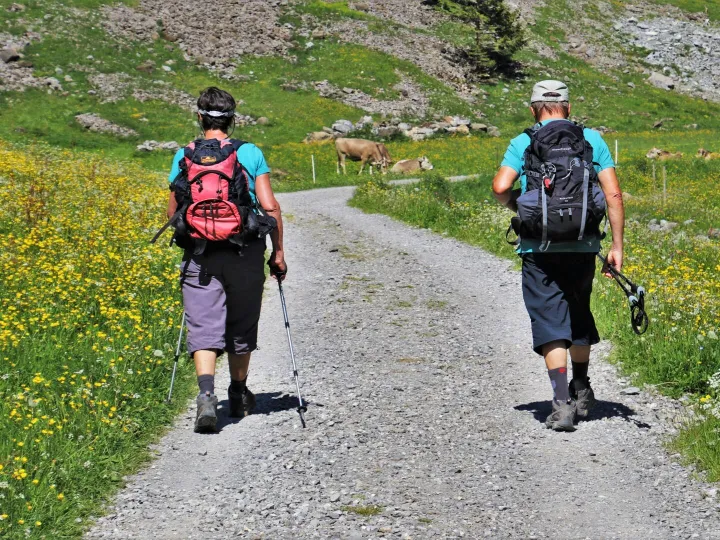 Two hikers walk down a gravel trail surrounded by