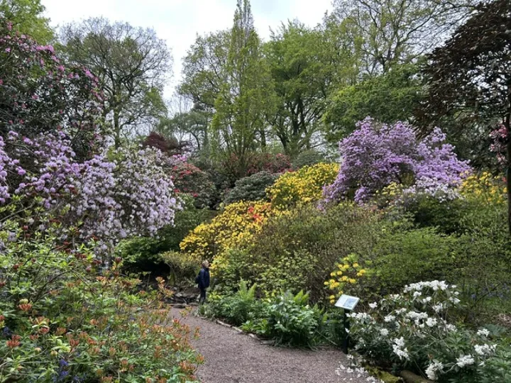 Image0