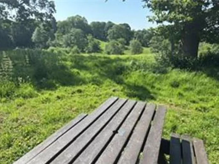 Benches