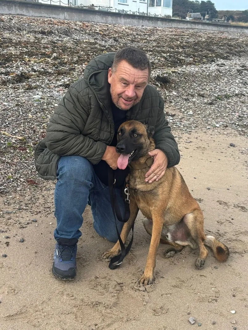 German Shepherd With Handler Outdoors