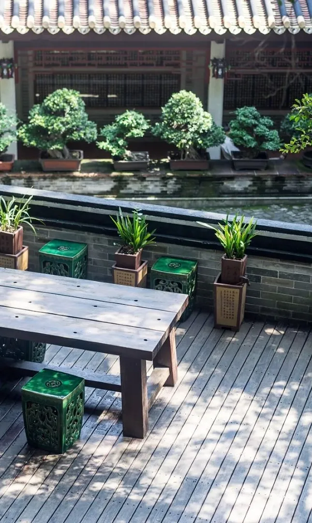 Tranquil space with plants