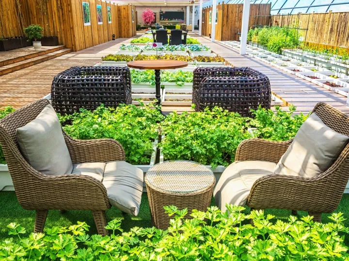 Glazed garden room with wicker seating surrounded by planting