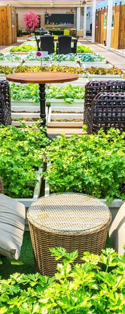 A covered lifestyle garden with indoor and outdoor living