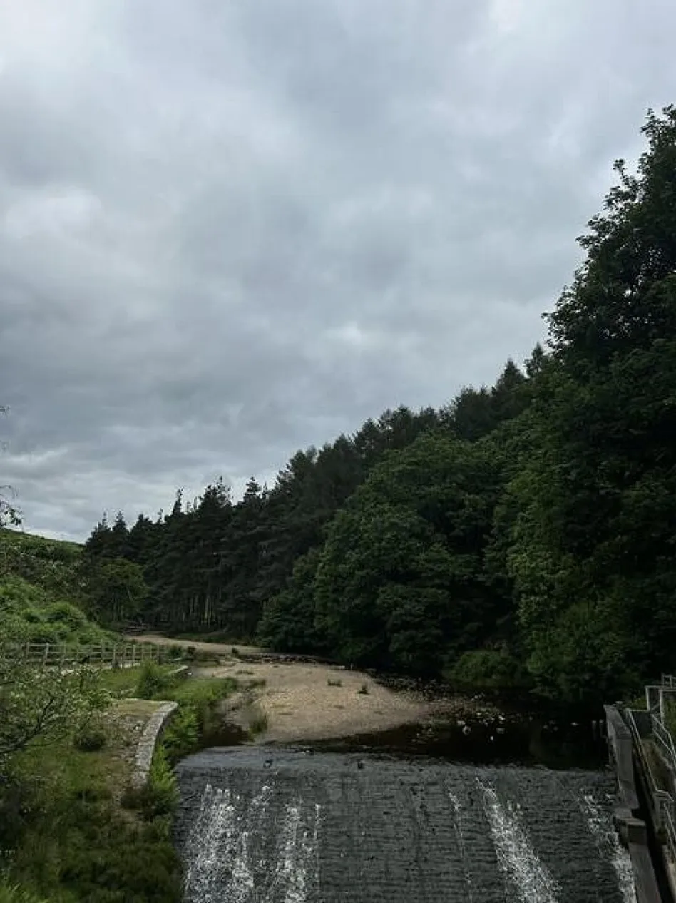 Langsett 4