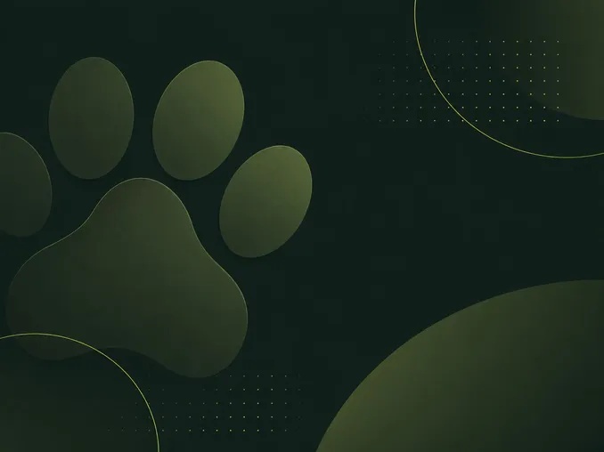 Paw Abstract