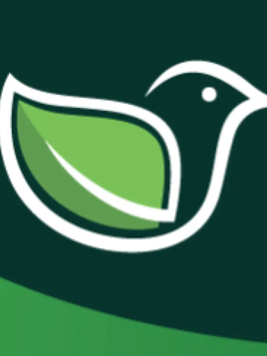 Wilder Bird