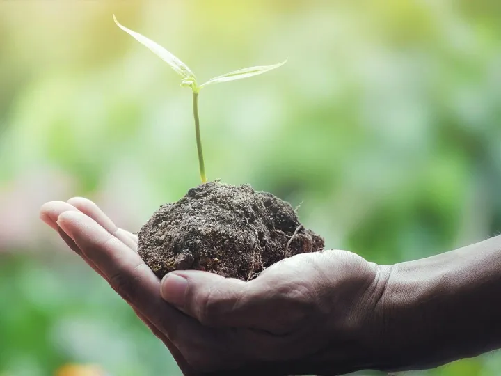 Ecology, world, summer, life, concept, save