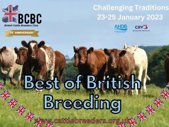 Best of British Breeding – Farmer Panel