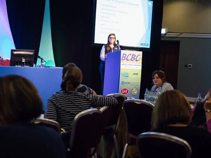 Developing a breeding plan: theme of the beef workshop
