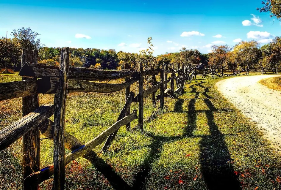 A country lane beside a wooden fence, curving away towards trees