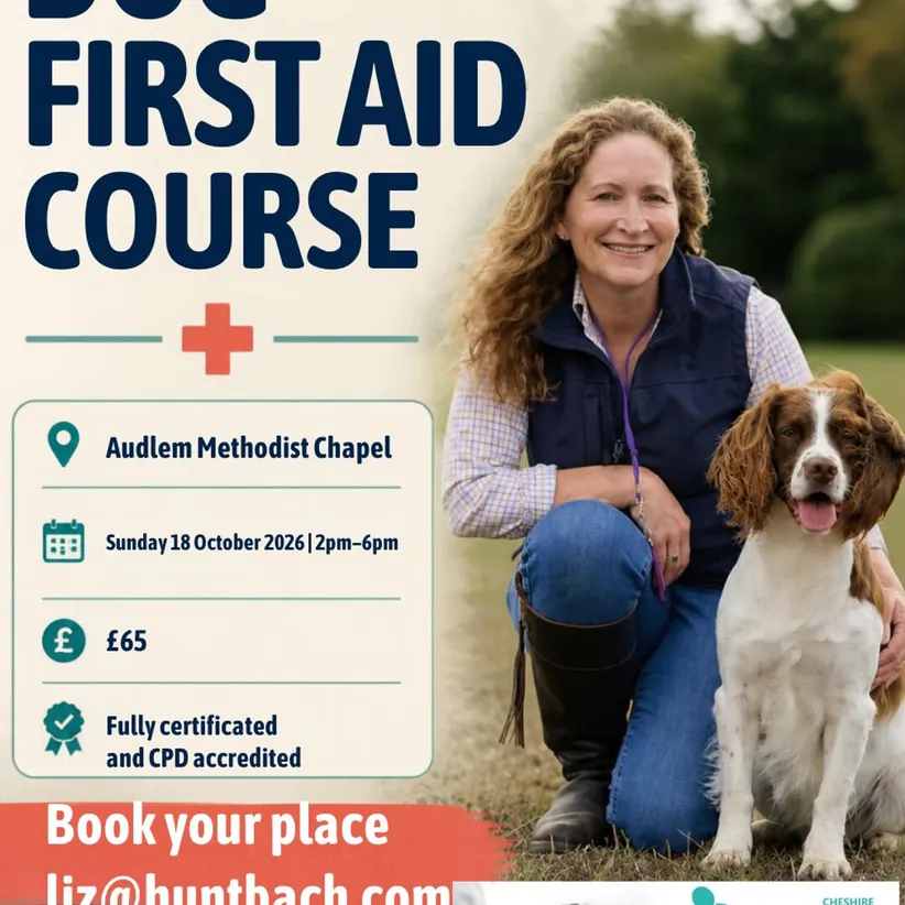Dog First Aid