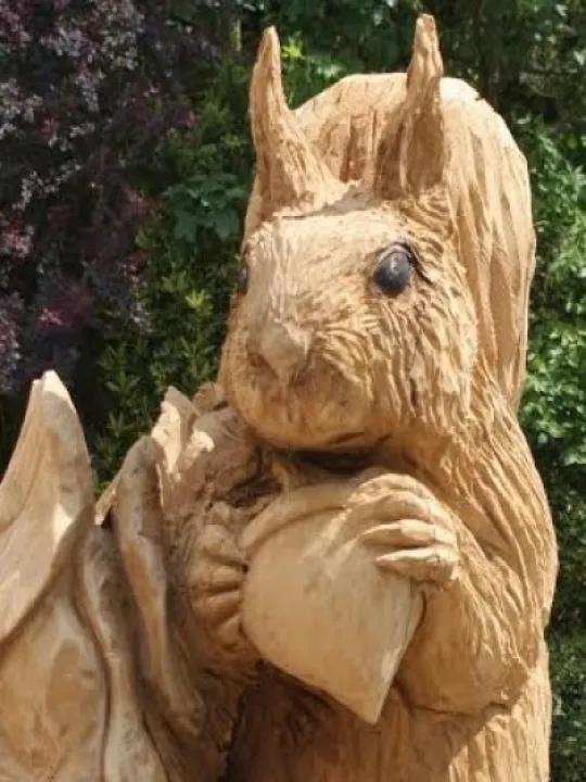 squirrel 1 (2)