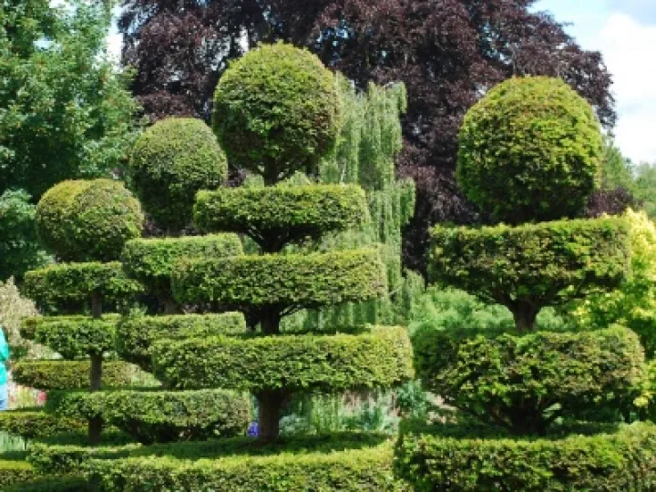 Sibberscote Manor #1