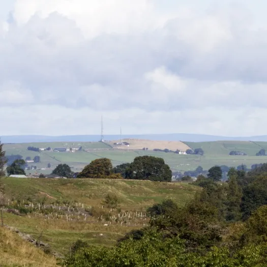 Allendale