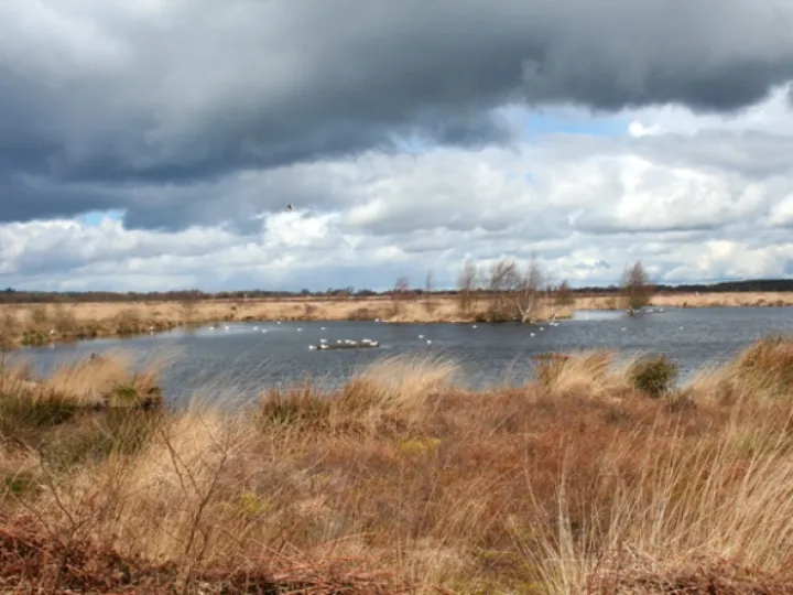 Lake_on_Whixall_Moss_-_geograph-org-uk_-_762733 (1) &ndash; Copy