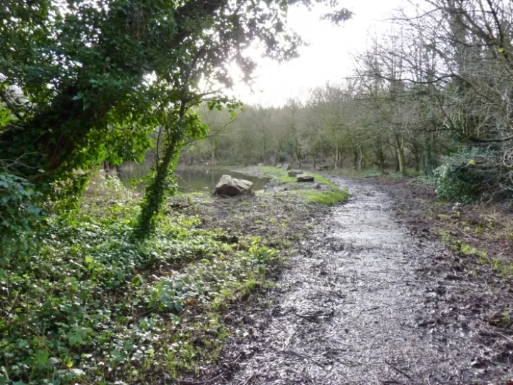 Podmore 06