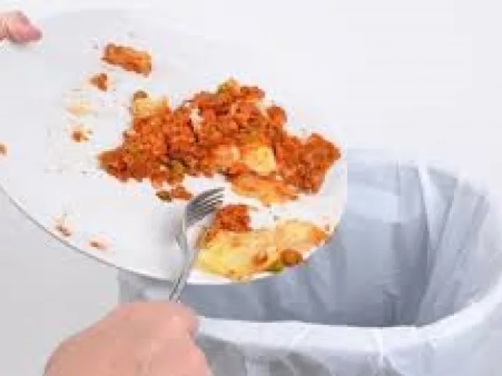 Food waste png