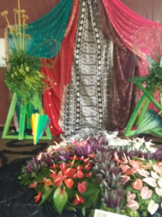 Suva Flowers 2