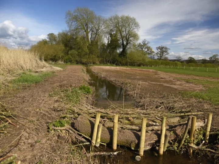 Millbrook Wetlands (3) April 2016 Web copy