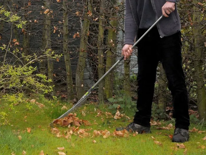 Garden Tidying 01