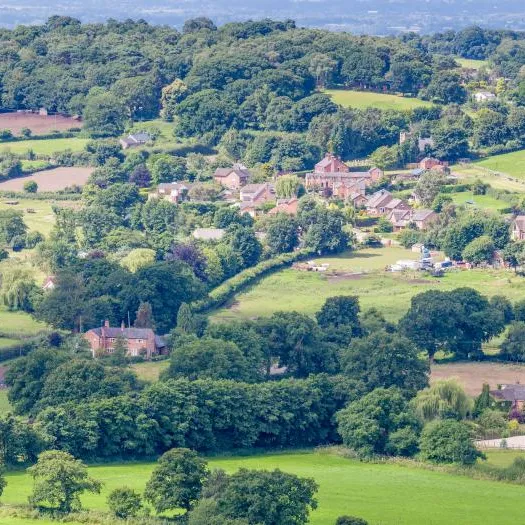 View from Sandstone Trail on Bickerton Hill-14