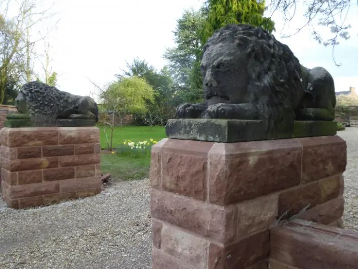 Two lions 001