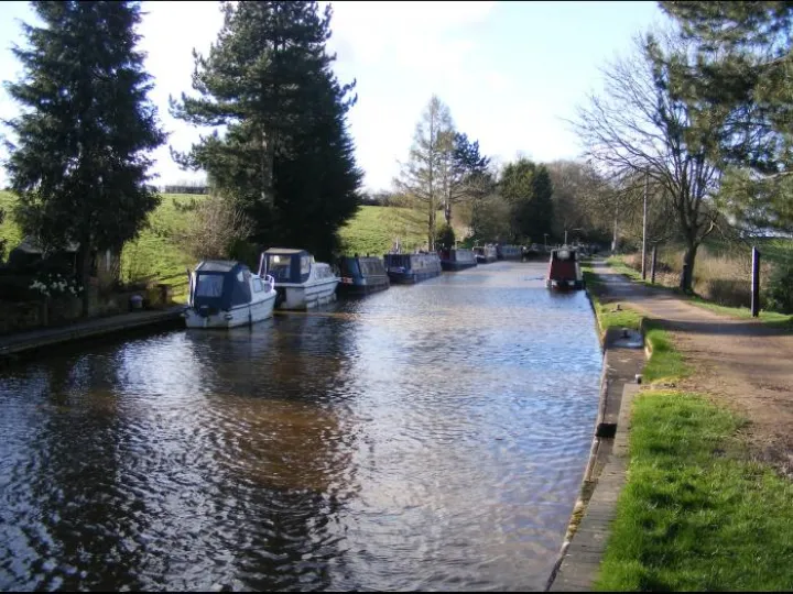 Spring Canal Scenes