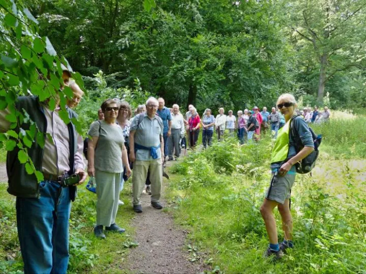 Simply Walk Leaders