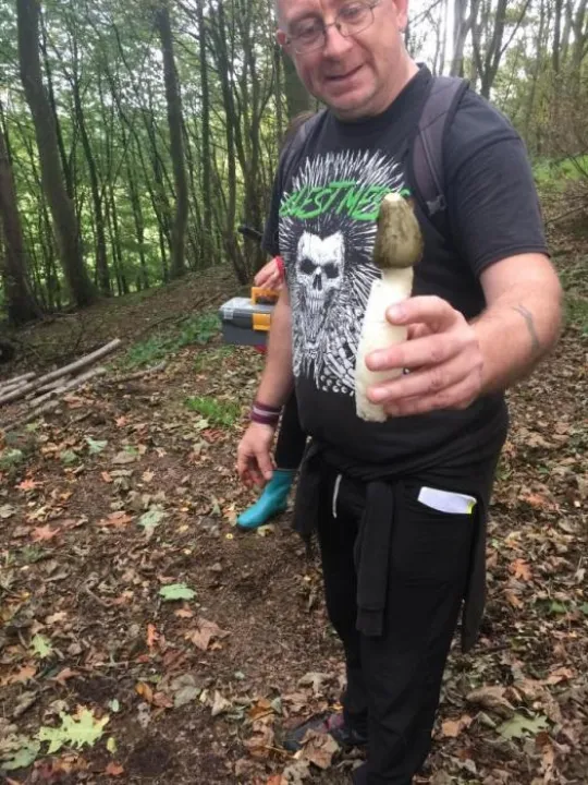 Stink Horn