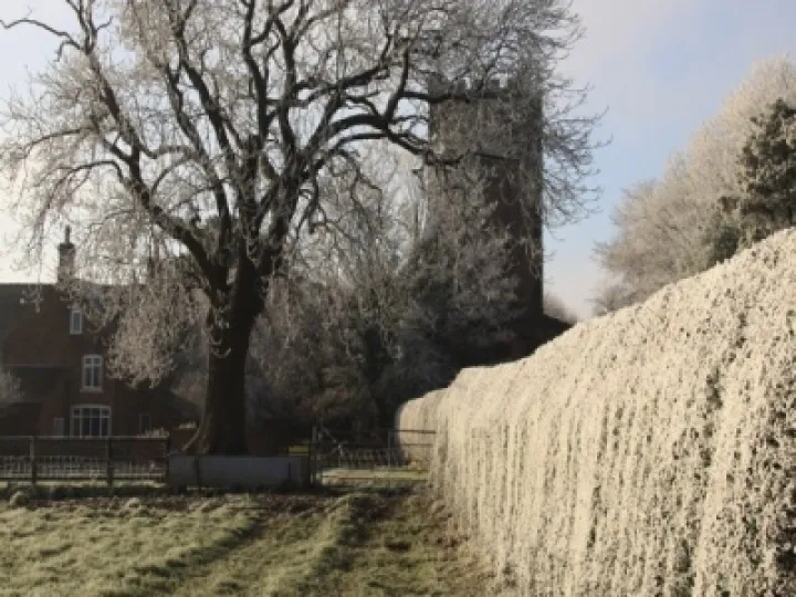 St Andrews in frost