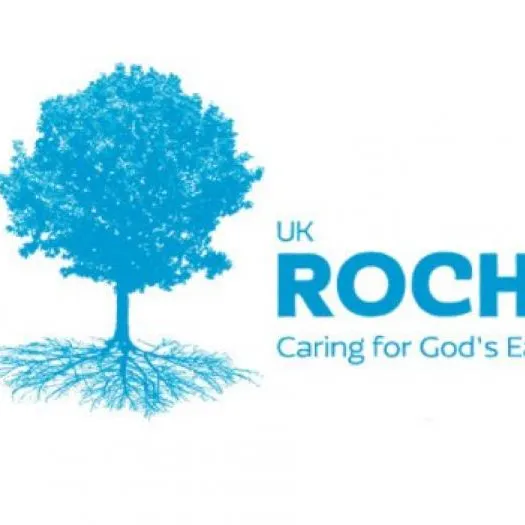 Arocha