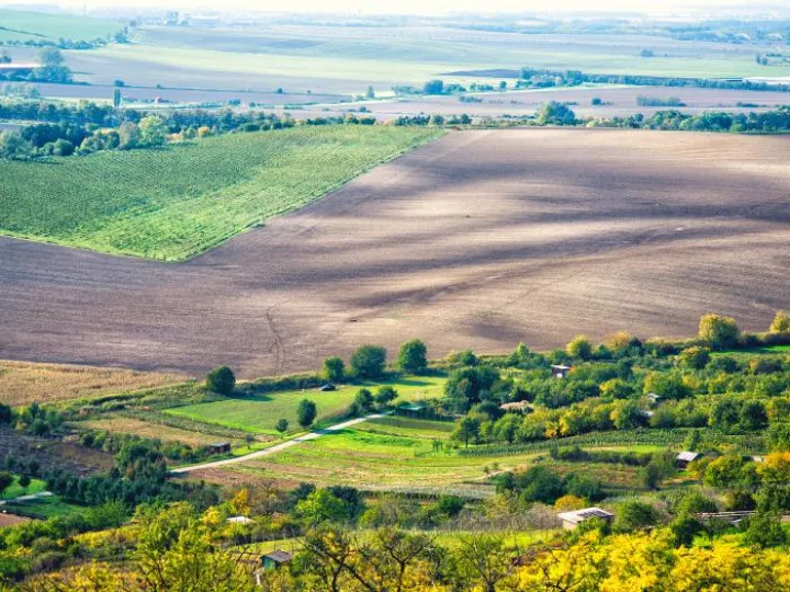 Ploughed fields and woodland in open countryside