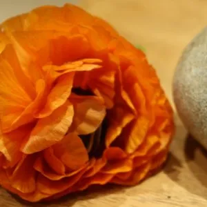 Mindfulness 1