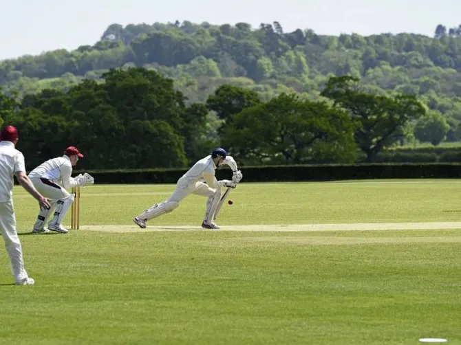 Cricket
