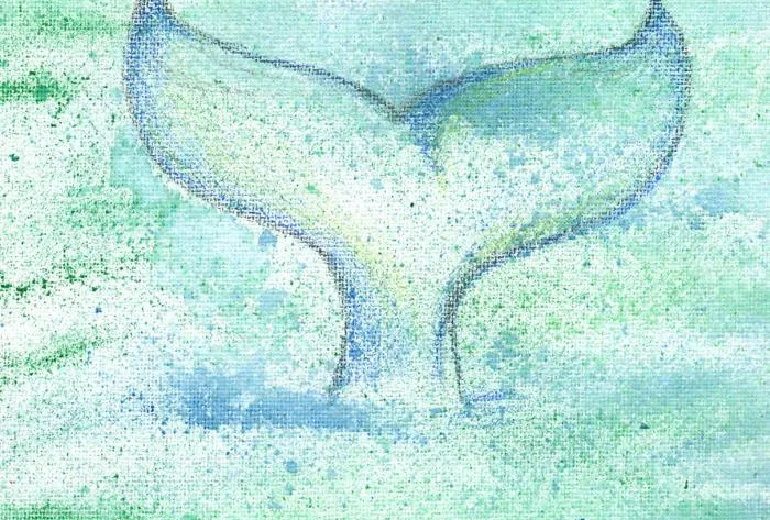Whale_drawing