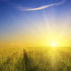 sunshine 02