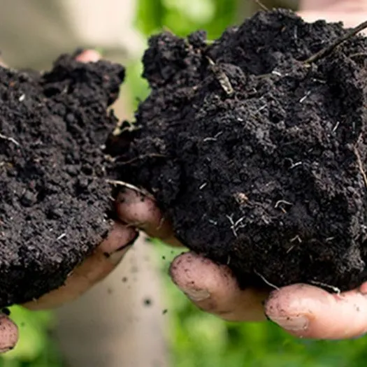 greatsoil2_HEADER