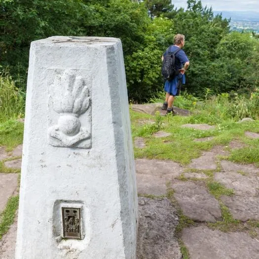 Trig Point crop