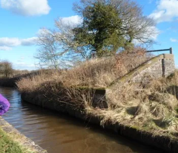 Canal walk January 2013 (21)