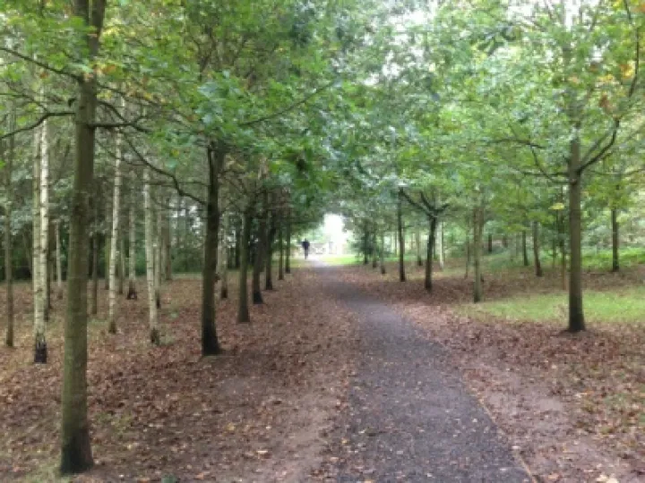 Grogan's Walk