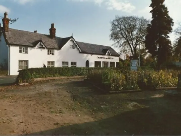 Nursery site view 7