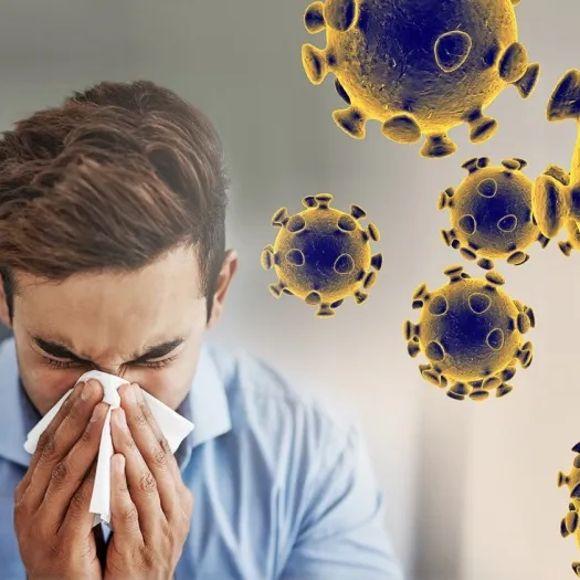 coronavirus-graphic-web-feature