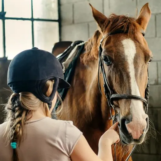 Rider in horse stables