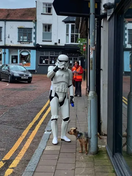 Dog Walking Gear
