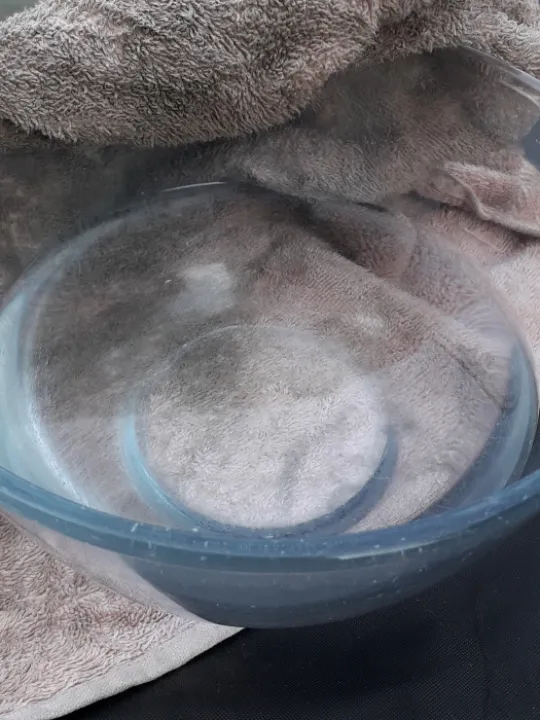Bowl & Towel