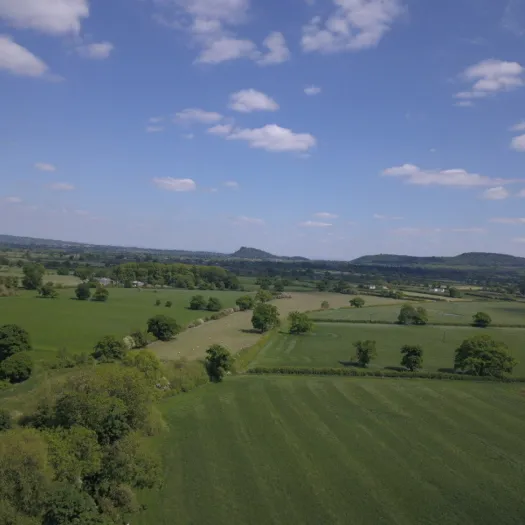 The Ridge