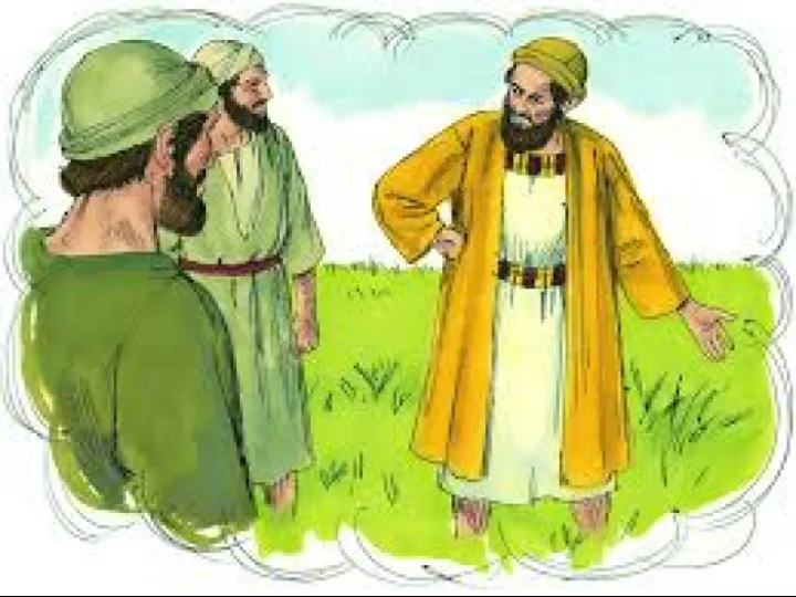 Parable of weeds